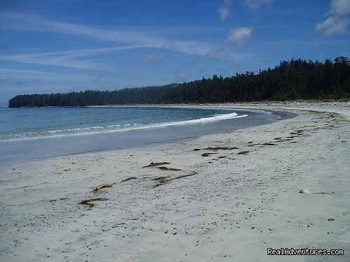 Nels Bight, North Coast Trail | Top 10 Hikes In The World-bc's West Coast Trail | Image #7/8 | 