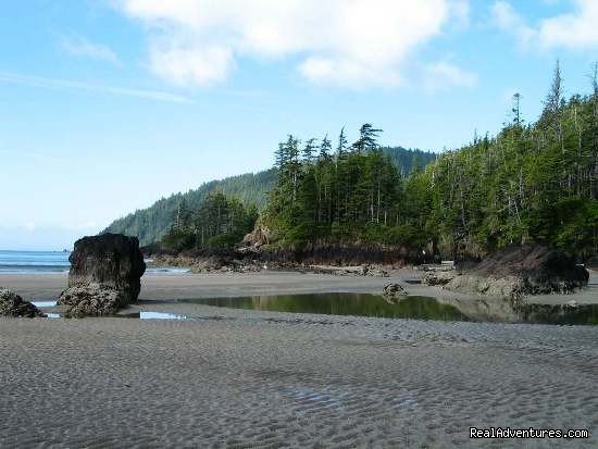Sea Stack at a North Coast Beach | Top 10 Hikes In The World-bc's West Coast Trail | Image #8/8 | 