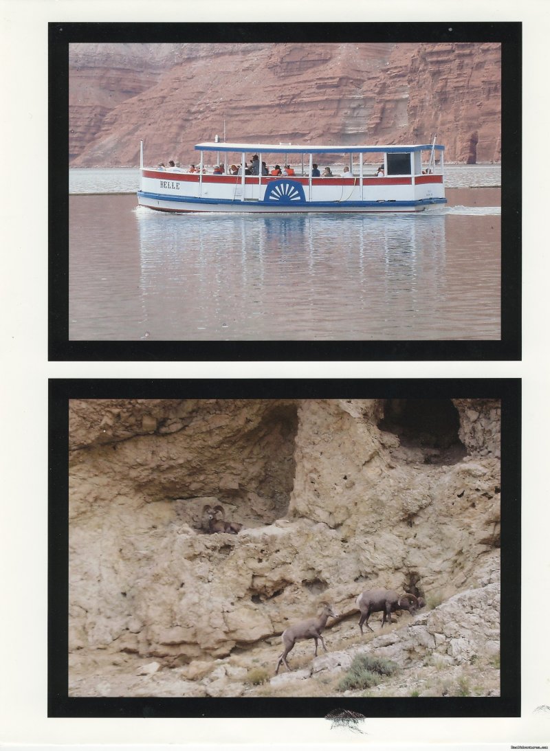 Hidden Treasure Charters & Wyoming Eco-tours | Lovell, Wyoming  | Cruises | Image #1/1 | 