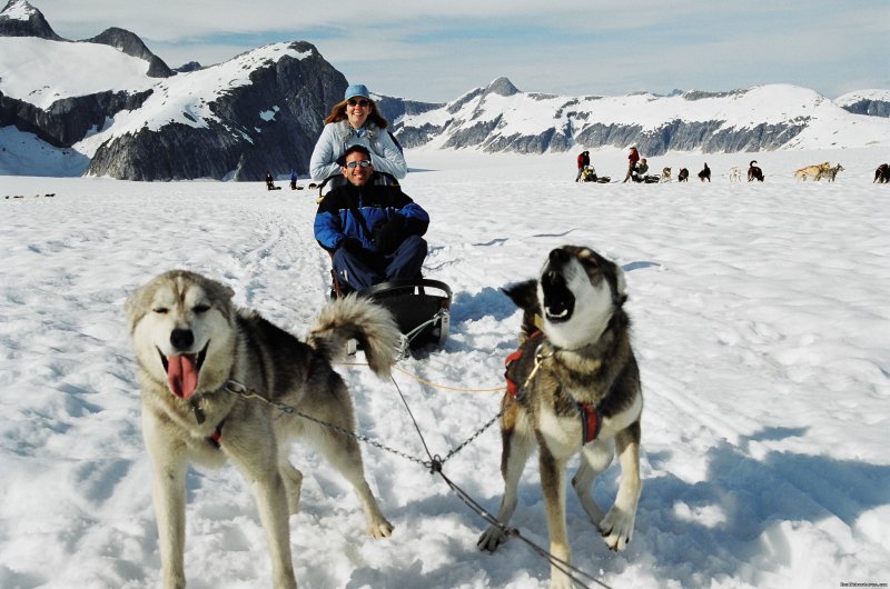 Dog Mushing | Alaska's Pearson's Pond Luxury Inn & Adventure Spa | Image #8/11 | 