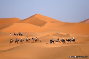 Camel trekking Morocco / ride camel in desert,