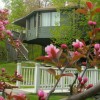 Spirit Mountain Villas - Duluth Four Season Resort Mama Bear's Den, Villa #11, in the Spring