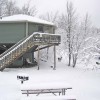 Spirit Mountain Villas - Duluth Four Season Resort Fox Den, Villa #12, and a white-tail deer in the Winter
