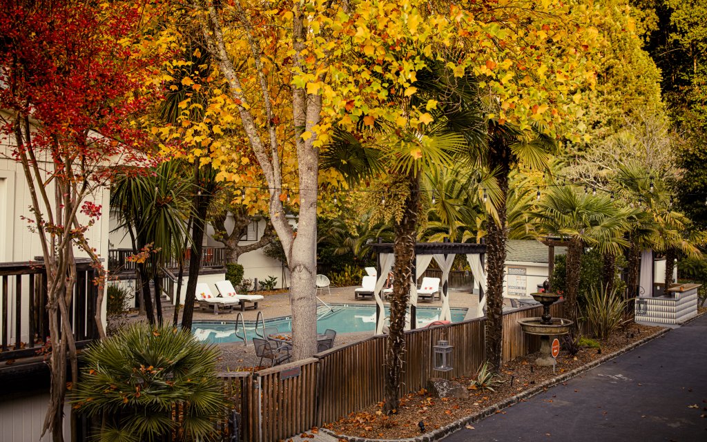 Modern Boutique Hotel In The Russian River Valley | Guerneville, California  | Hotels & Resorts | Image #1/9 | 