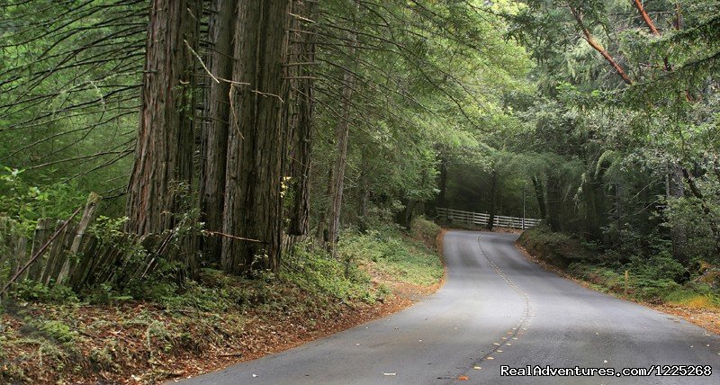 The road to Timber Cove Inn | Timber Cove Inn | Image #16/25 | 