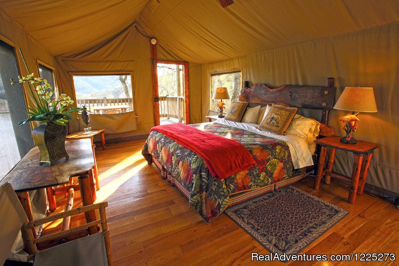 King Tent | Safari West | Image #2/2 | 