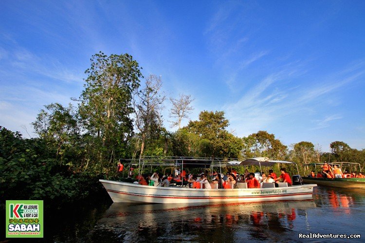 Wildlife River Cruise | 4D/3N Wildlife River Cruise & Pulau Tiga | Kota Kinabalu, Malaysia | Sight-Seeing Tours | Image #1/13 | 