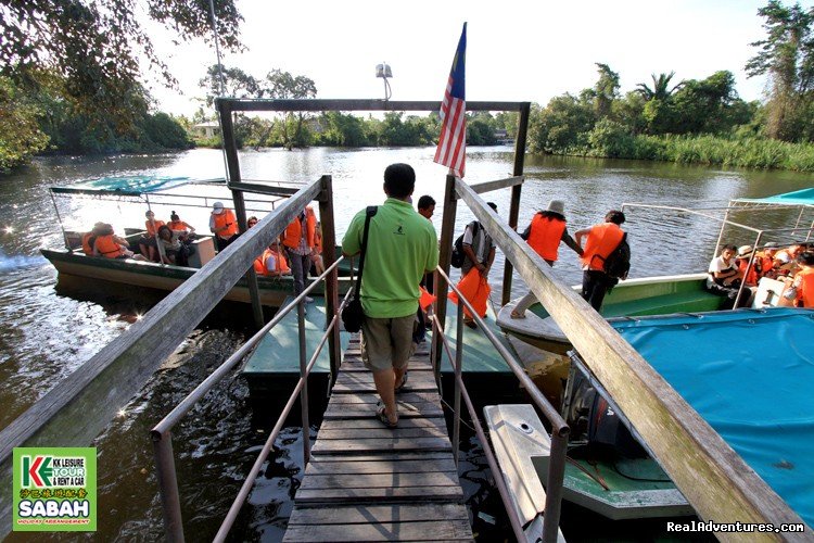Wildlife River Cruise | 4D/3N Wildlife River Cruise & Pulau Tiga | Image #9/13 | 