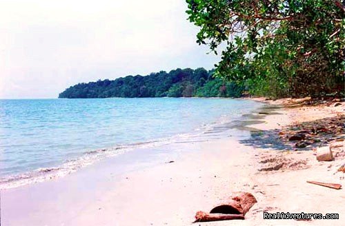 Pulau Tiga - Survivor Island | 4D/3N Wildlife River Cruise & Pulau Tiga | Image #12/13 | 