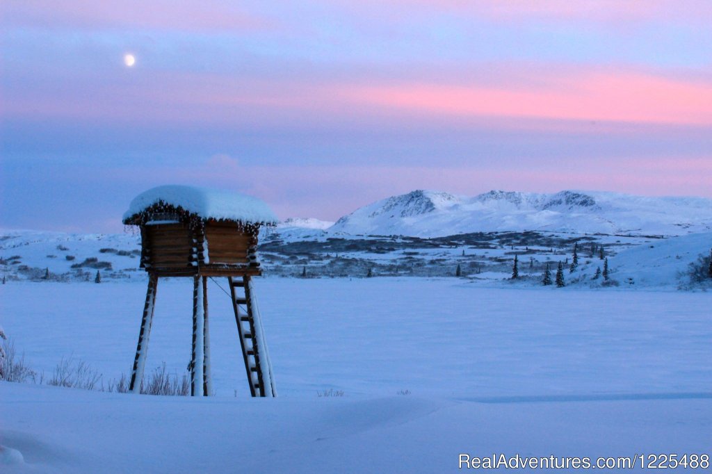 Northern Lights With Cache | Caribou Lodge Alaska | Image #7/11 | 