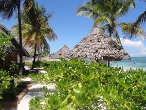 Accommodation Bed/ Breakfasts | Jambiani -Zanzibar, Tanzania Bed & Breakfasts | Tanzania Accommodations