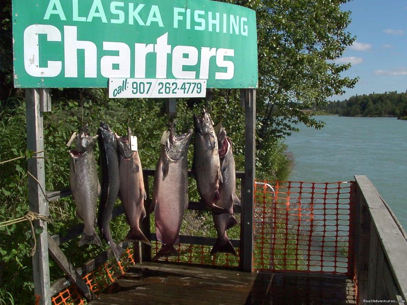 Nicwe Kings | A Alaska Fishing Lodge and Soldotna B&B | Image #5/26 | 