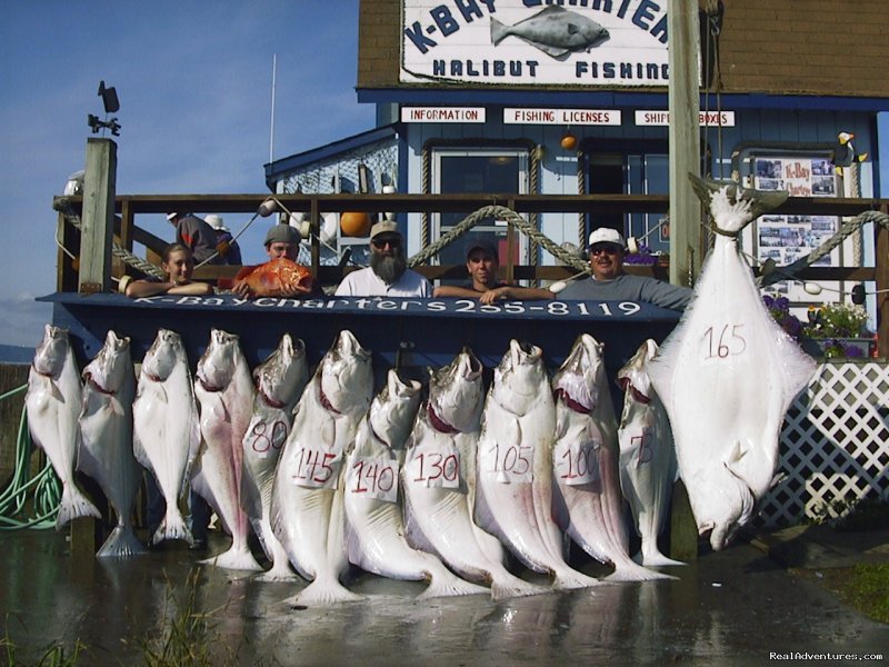 Nice halibut | A Alaska Fishing Lodge and Soldotna B&B | Image #8/26 | 