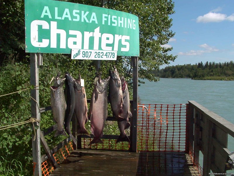 Nice kings | A Alaska Fishing Lodge and Soldotna B&B | Image #14/26 | 
