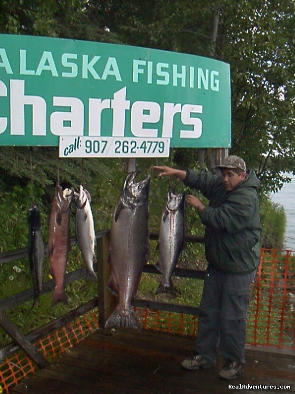 Nice kings | A Alaska Fishing Lodge and Soldotna B&B | Image #17/26 | 
