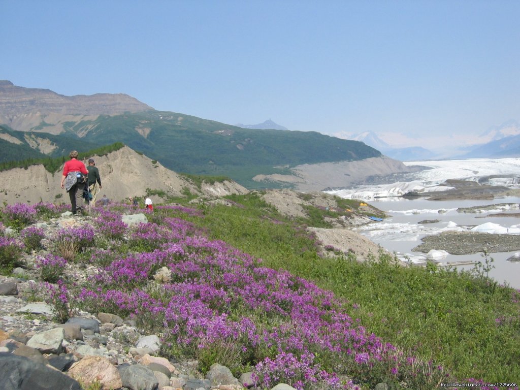 Hiking at the Nizina Glacier | St. Elias Alpine Guides | Image #10/23 | 