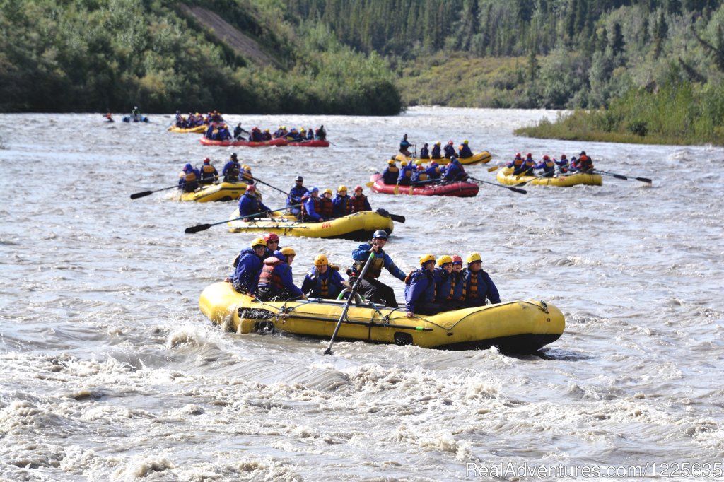 Nenana River Whitewater Rafting Adventure | Denali Outdoor Center - Raft, Kayak, Bike & Camp | Healy, Alaska  | Rafting Trips | Image #1/7 | 