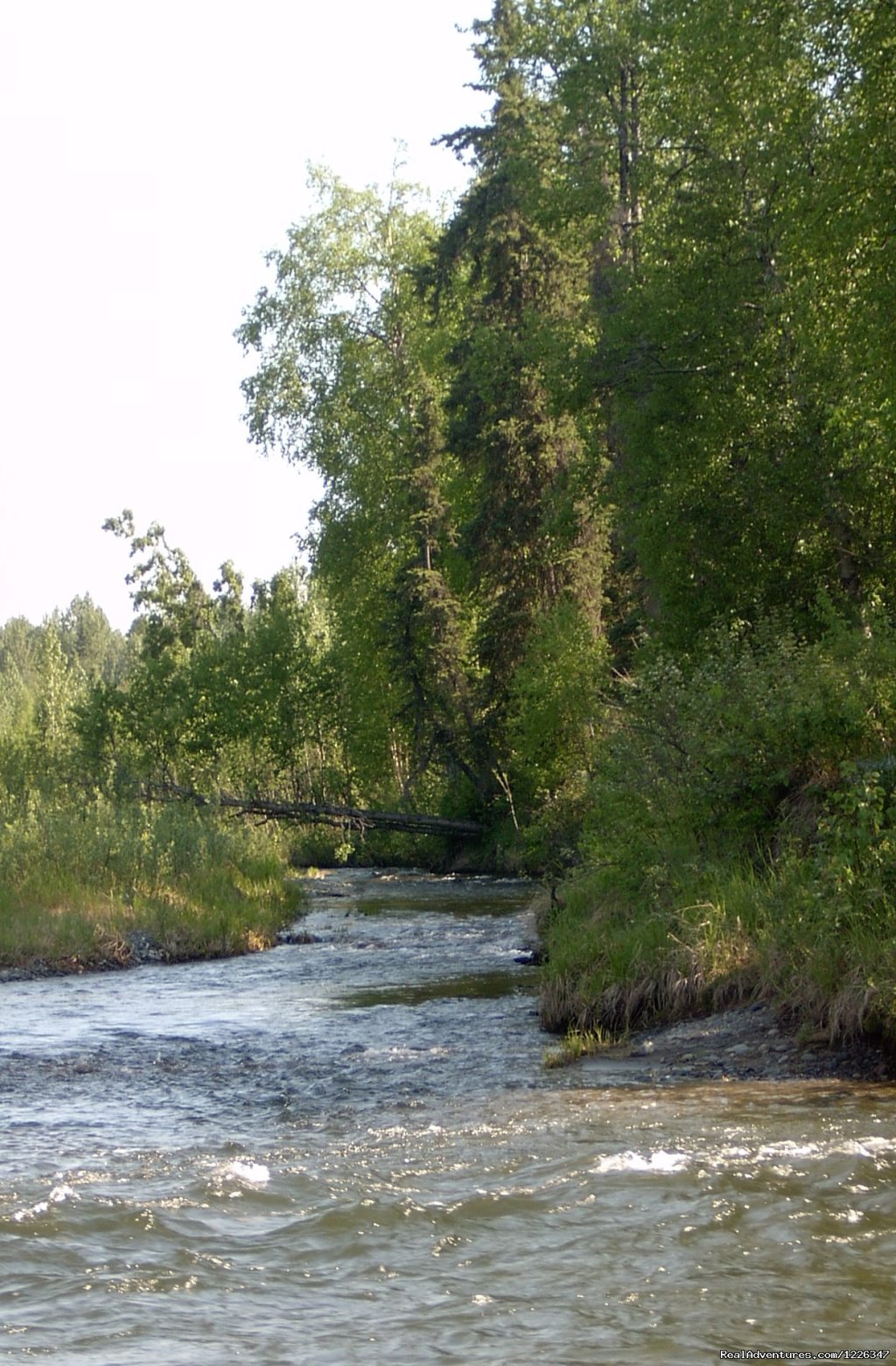 Montana Creek Campground | Image #13/20 | 