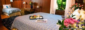 Magnolia Springs Bed & Breakfast | Auburn, Alabama Bed & Breakfasts | Union Springs, Alabama