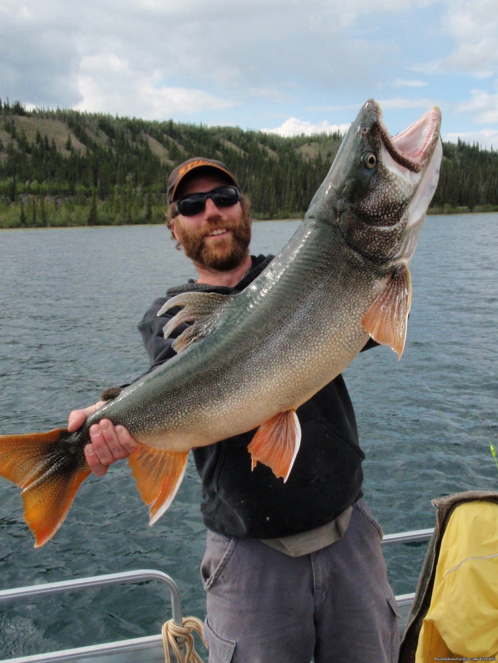 Beautiful Lake Trout from Coghlan lake. | Access to nine fly in only lakes. | Image #3/3 | 