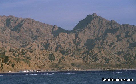 Dahab, Sinai | Holistic Travel, Private Tours | Image #4/8 | 