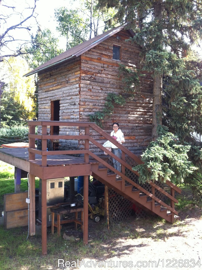 Treehouse | Fairbanks International Hostel | Image #3/4 | 