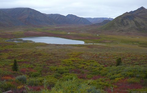 along the Dempster Highway