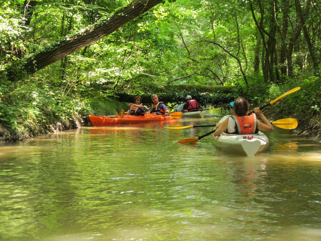 Kayaking Kamchia River | Image #11/15 | 
