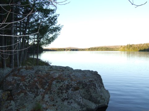 Looking down the pond.