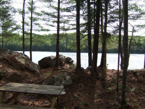 Looking onto pond