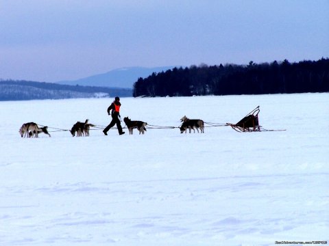 February Hosts the 100 mile dog sled race