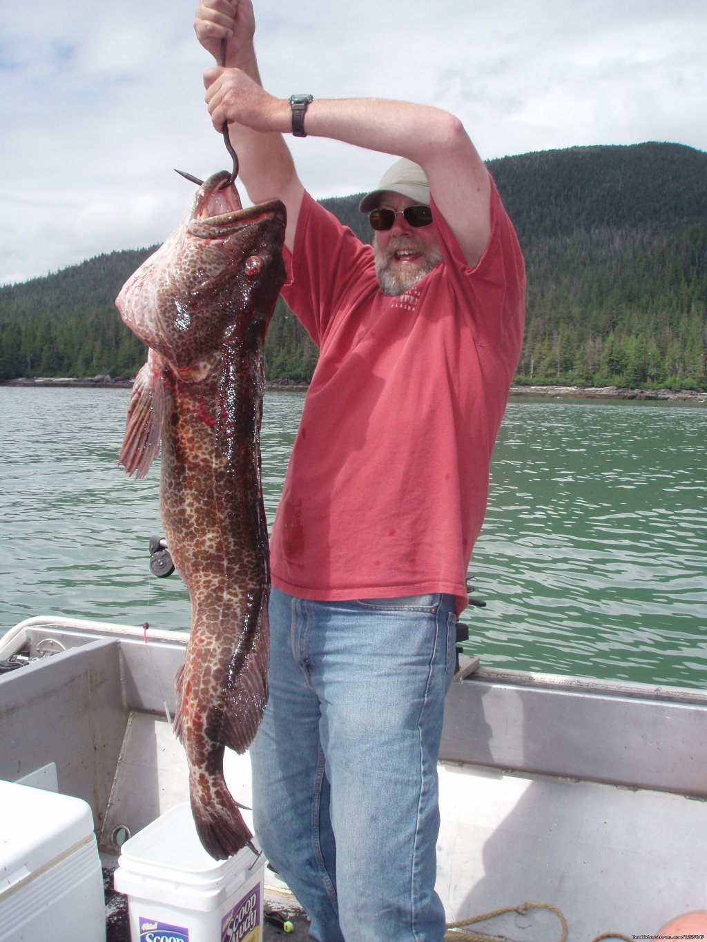 Ling cod | Fish Wrangell | Image #4/9 | 