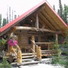 Alaskan Wooden Bear Cabins Photo #1