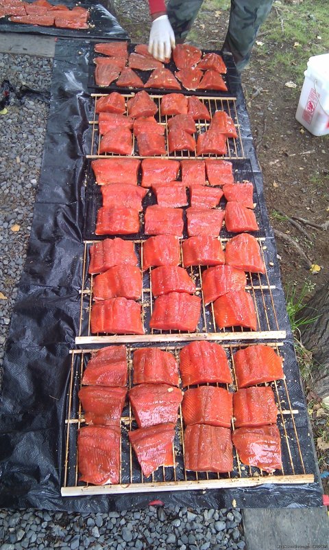 Sockeye Salmon 2012 run was magnificent.