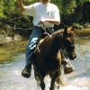 The BEST Horseback Riding Experience in Virginia Wilbur Saying Howdy!!