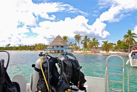 Guided Dive Trips