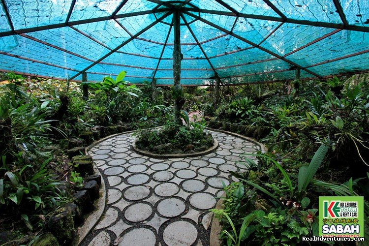Kinabalu Park Botanical Garden | 4d/3n Kota Kinabalu Explorer Packages | Image #9/13 | 