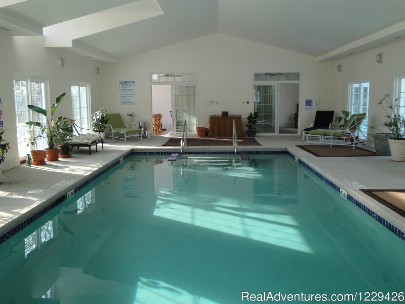 Indoor heated swimming pool | Relax, Renew, Rejuvenate at Ye Olde Manor House | Image #2/16 | 
