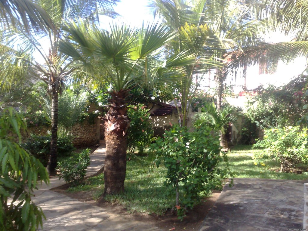 Garden View | Unforgetable Days at Watamu Tembo Village Resort | Image #5/15 | 