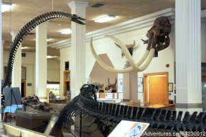 Museum of Geology | Aberdeen, South Dakota Museums & Art Galleries | Gillette, Wyoming