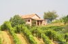 Romantic guesthouse among wine hills | Vaglio Serra, Italy