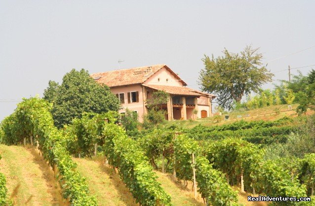 Romantic guesthouse among wine hills | Vaglio Serra, Italy | Bed & Breakfasts | Image #1/11 | 
