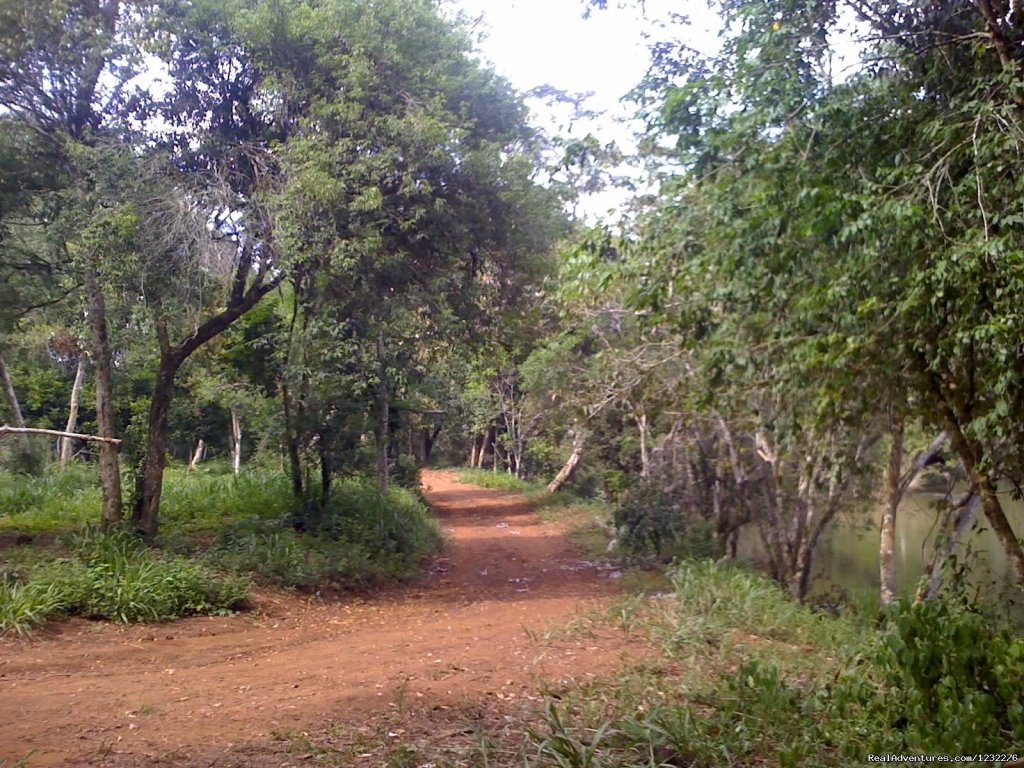 Misiones Trails | Navigation By The Waterfalls,  Great Adventure. | Image #5/9 | 