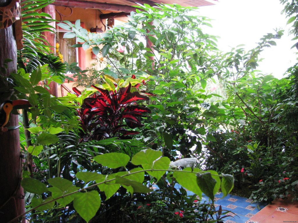 Inner patio plants | Cabanas en Altos del Maria, Cabins for rent. | Image #20/25 | 