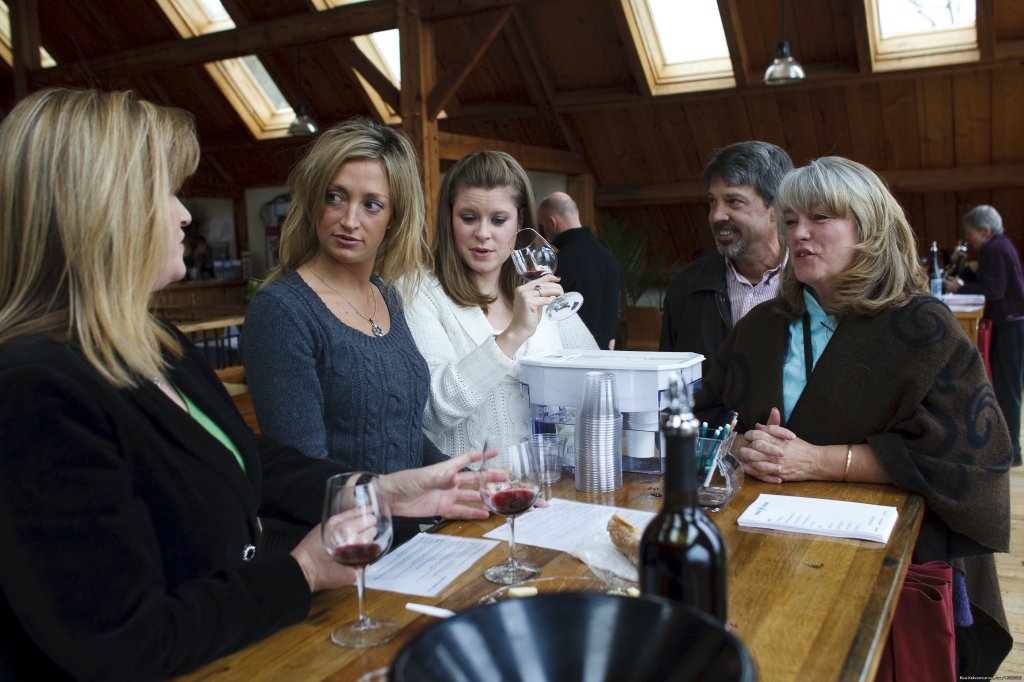 Arcady Vineyard Wine Tours at Blenheim | Arcady Vineyard B&B | Image #17/20 | 