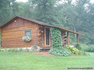 Grapevine Log Cabins B&B | Sparta, Wisconsin | Bed & Breakfasts