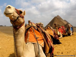 Egypt Best Travel Deals