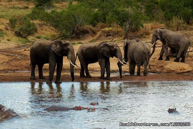 Three Days Tsavo Best Safari | mombasa, Kenya | Wildlife & Safari Tours | Image #1/1 | 