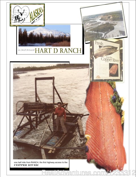 Copper River Fish Wheel | Image #20/24 | Hart D Ranch:Rooms /RV Park /PO