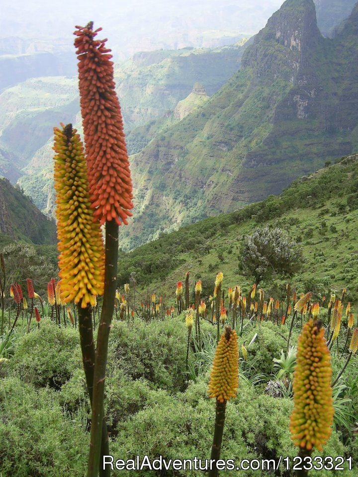 The beautiful Sceneray at Bale Mountains national Park | Tour to Ethiopia-Hidden Treasures Tour | Image #3/25 | 